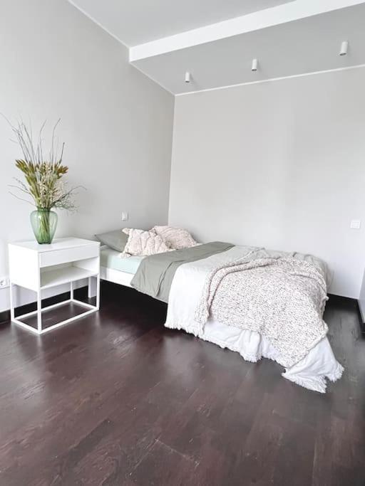 Apartament Modern *
