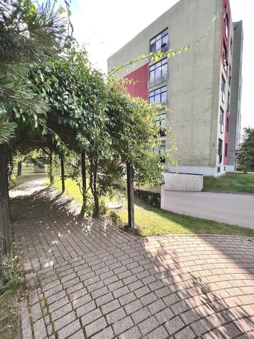 Apartament Modern